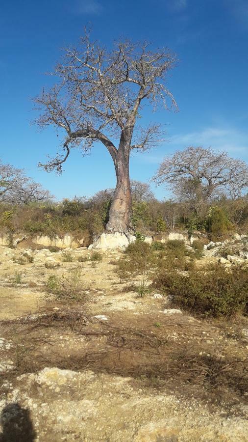 Bed and Breakfast Kiloran Funzi House Exterior foto